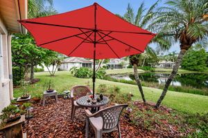 Backyard1