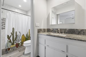 Primary Bathroom 1-2