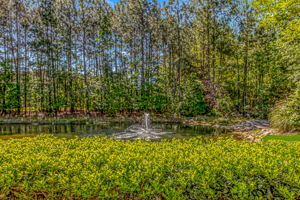 153 Stonegate Blvd, Murrells Inlet, SC 29576, USA Photo 32