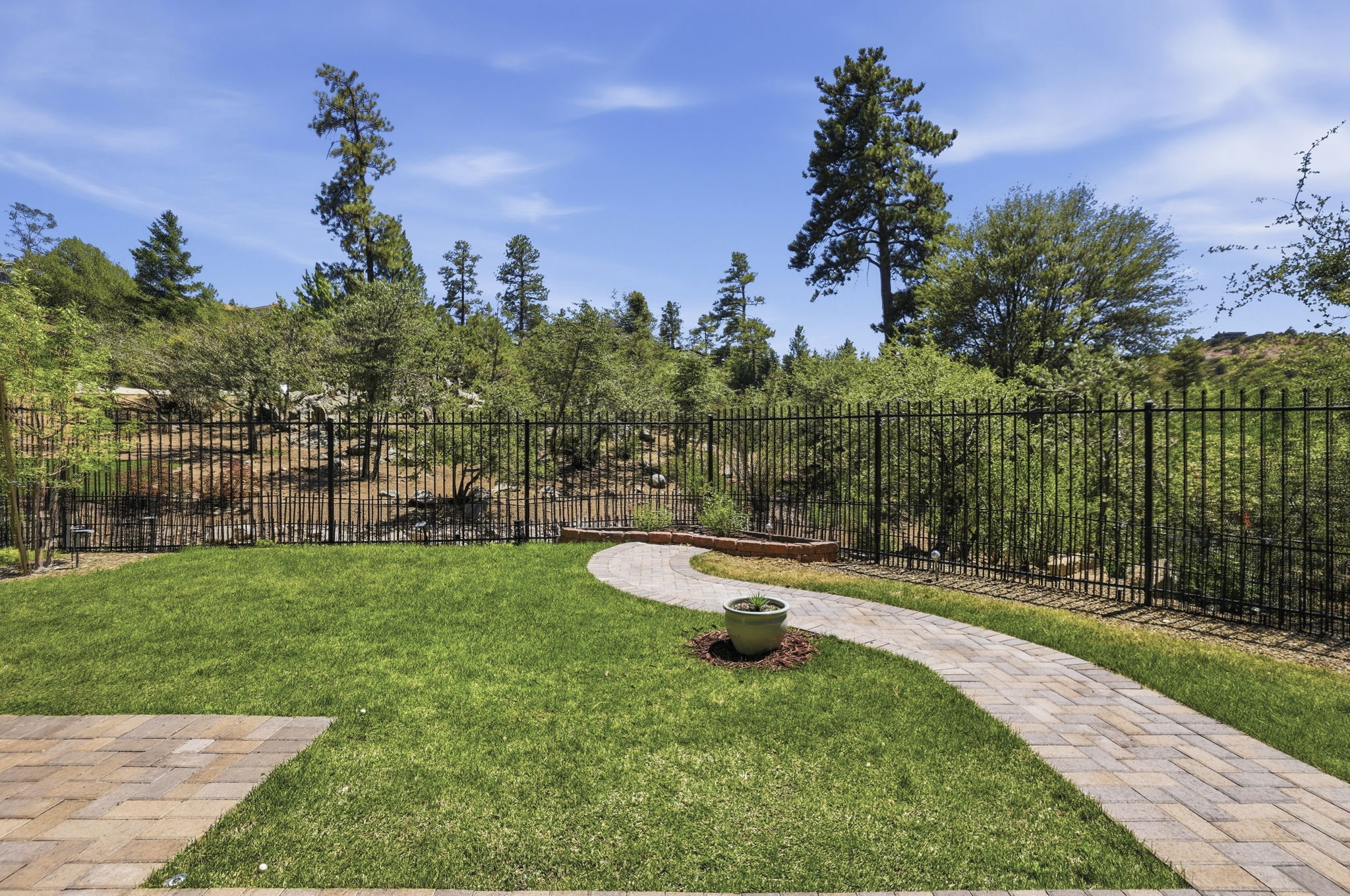 Backyard 2