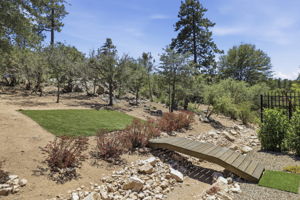 Backyard 2