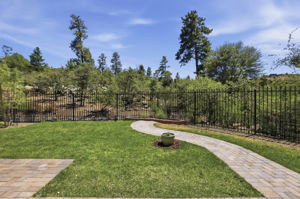 Backyard 2
