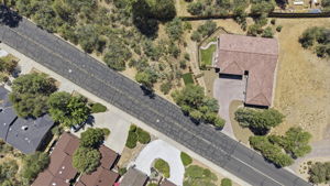 Birds Eye