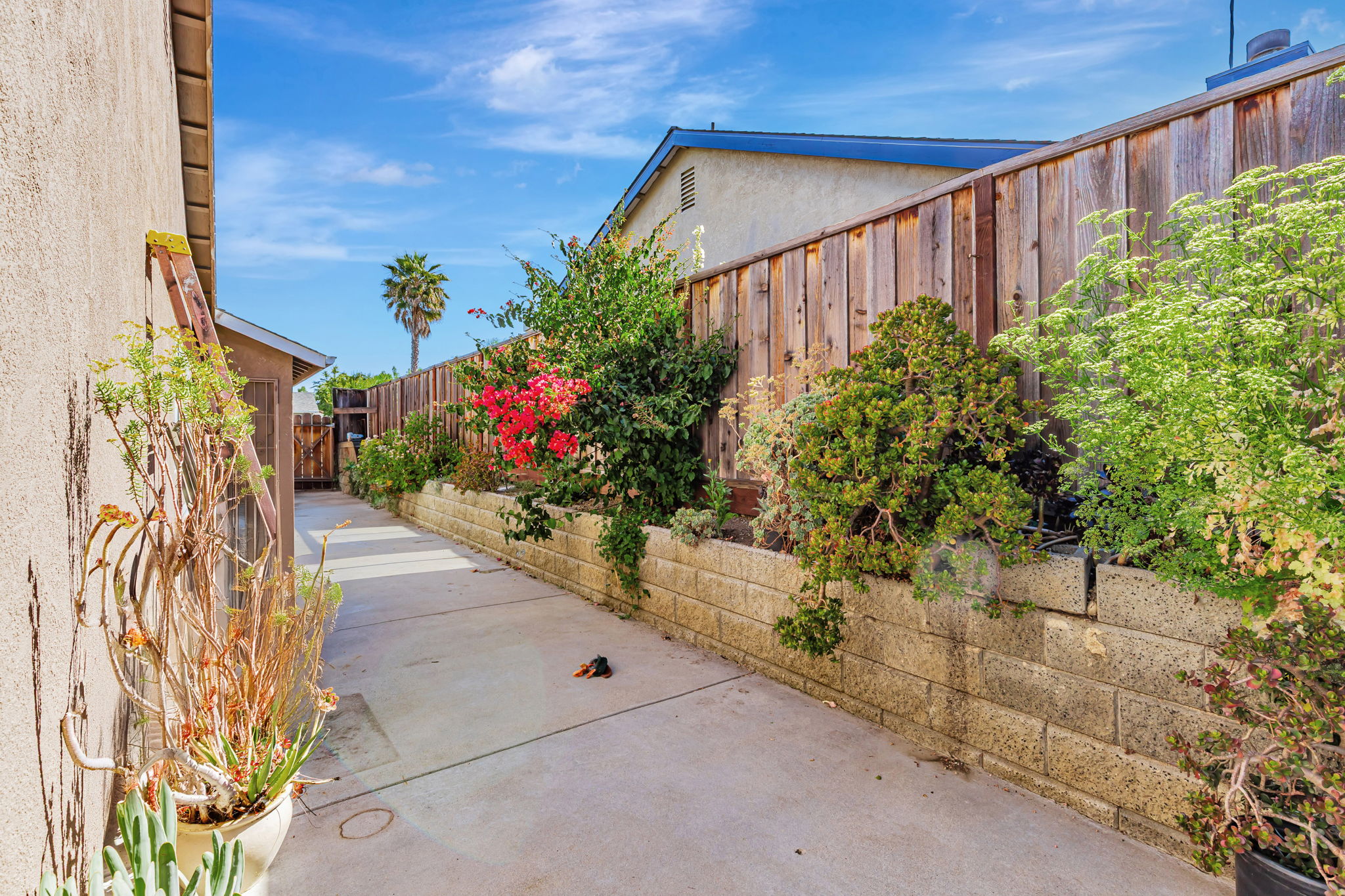 031_1531 Brighton Dr 