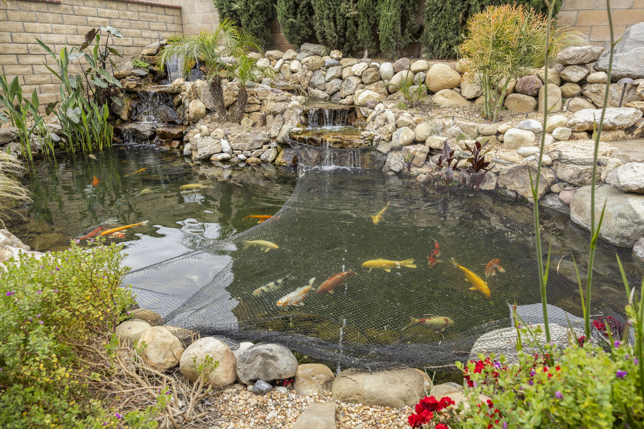 "Because why wouldn’t you want a private pond party?"