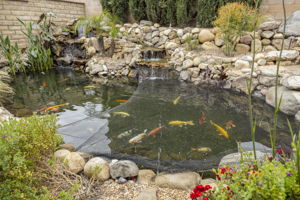 "Because why wouldn’t you want a private pond party?"