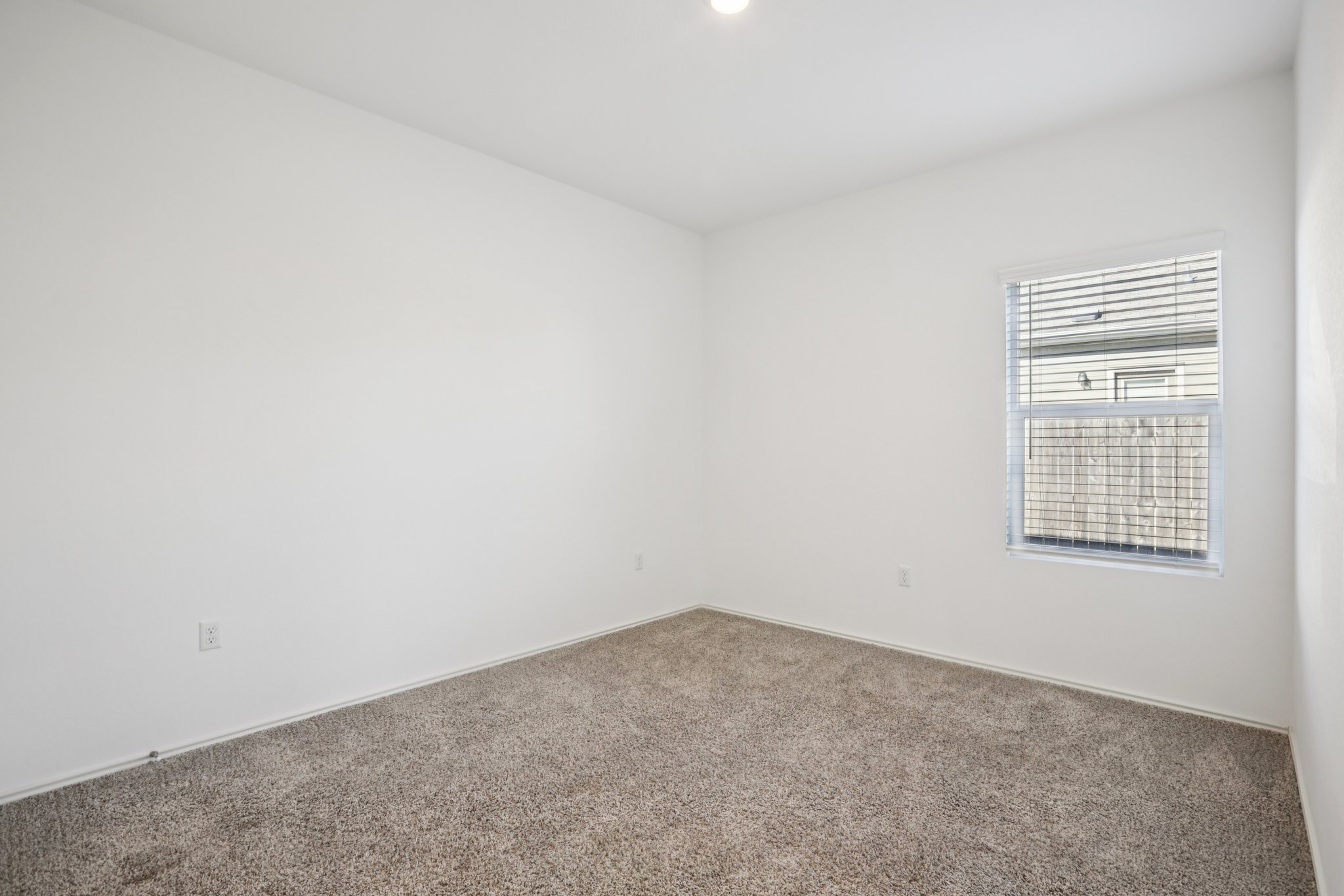 Sweet Mimosa Dr-S1403-020.jpg