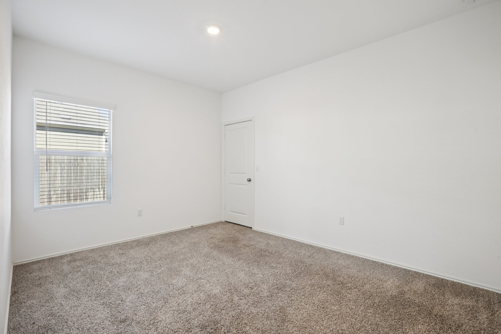 Sweet Mimosa Dr-S1403-023.jpg