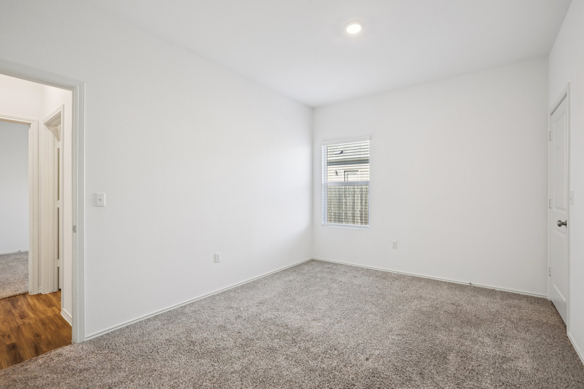 Sweet Mimosa Dr-S1403-024.jpg