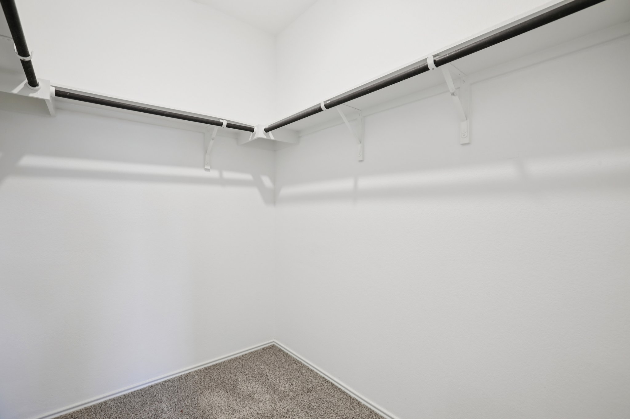 Sweet Mimosa Dr-S1403-033.jpg