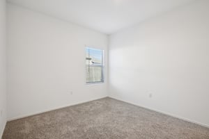 Sweet Mimosa Dr-S1403-021.jpg