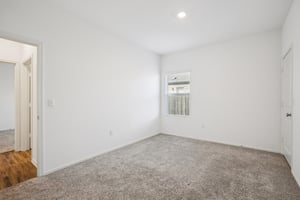 Sweet Mimosa Dr-S1403-024.jpg