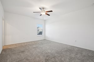 Sweet Mimosa Dr-S1403-026.jpg