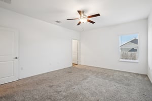 Sweet Mimosa Dr-S1403-027.jpg