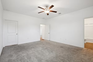 Sweet Mimosa Dr-S1403-028.jpg