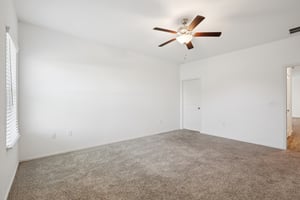 Sweet Mimosa Dr-S1403-029.jpg