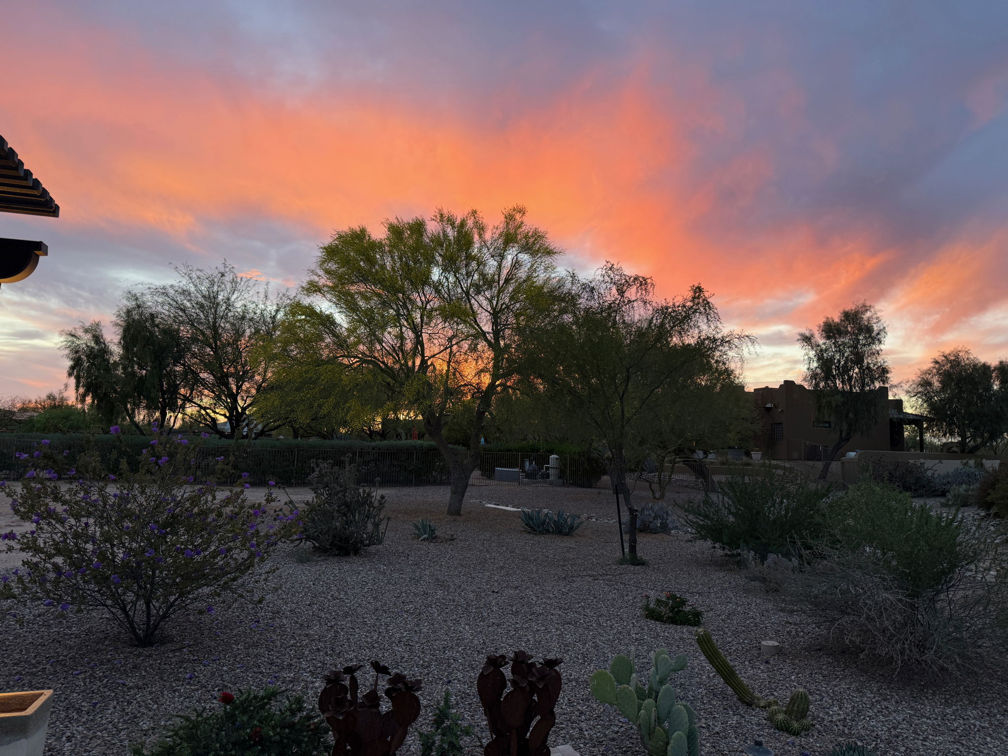 Sunset View from the Back Yard