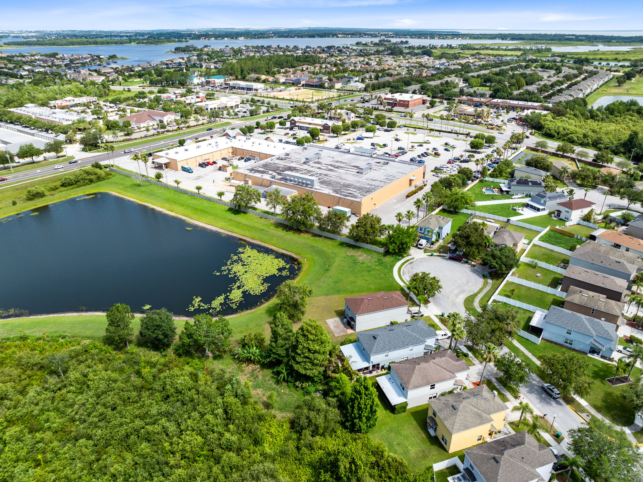Bird View