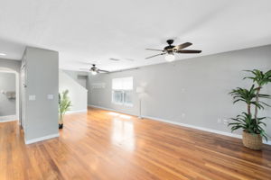 Living Room/Dining Room Combo