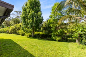 Back Yard/Conservation Area