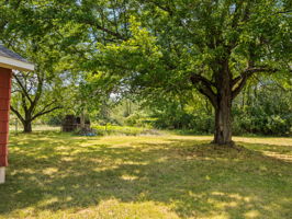  Photo 0