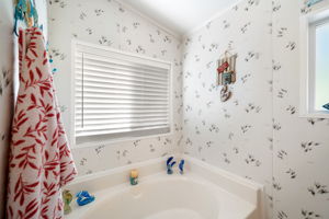 Primary Bathroom (2)