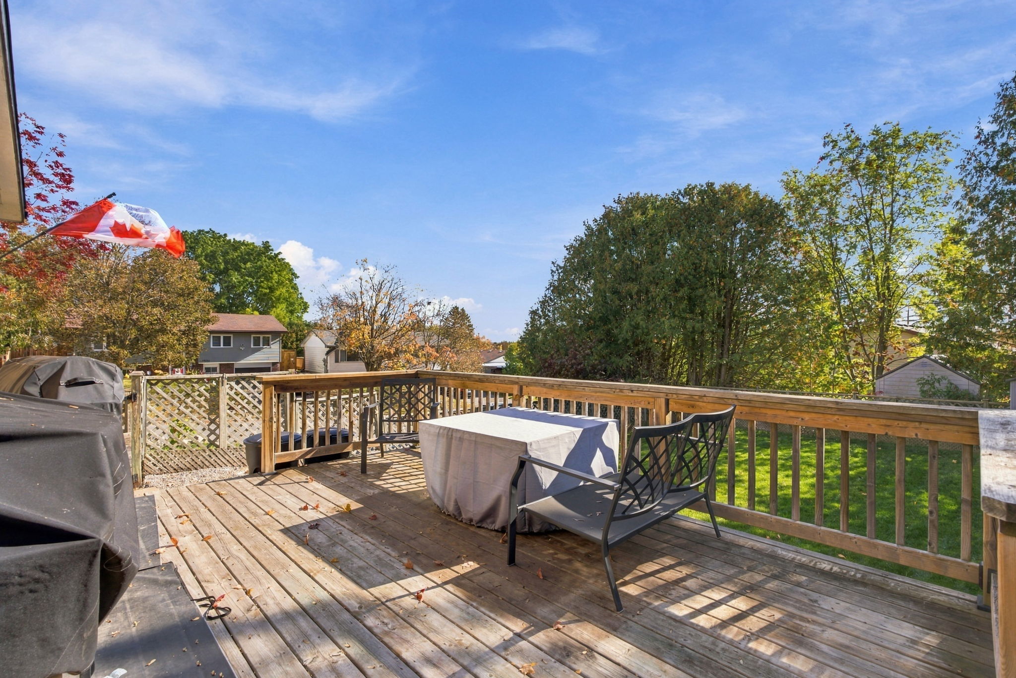  Photo 86