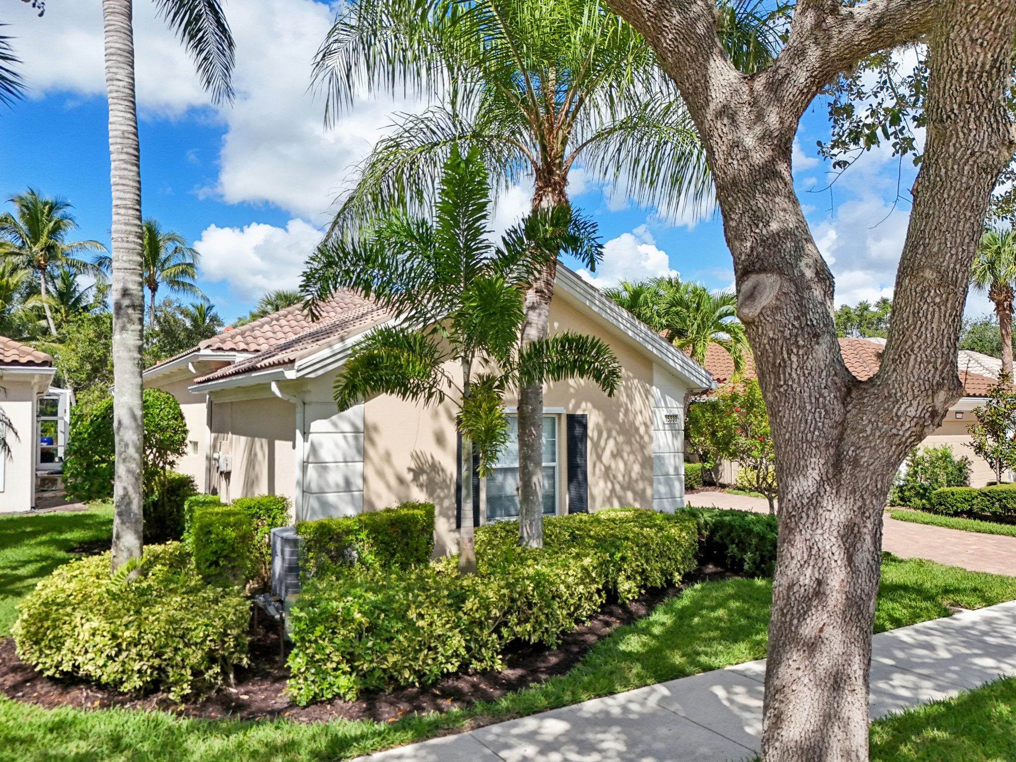 Bonefish Trl-S2810-044.jpg