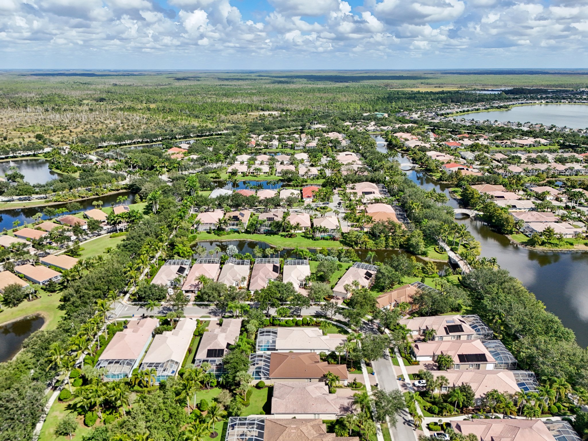 Bonefish Trl-S2810-051.jpg