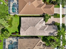 Bonefish Trl-S2810-050.jpg