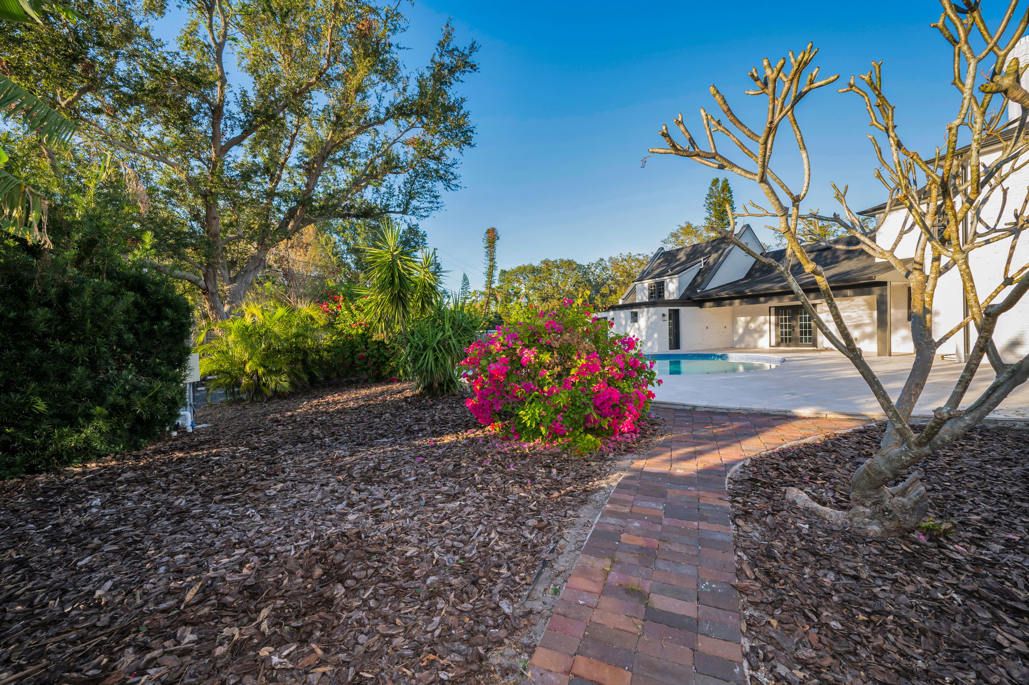 Patio and Pool2