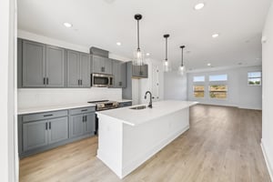 Hamlin Pk Dr-S0901-013.jpg