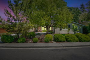  Photo 0