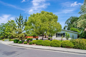 003_1536 St Helena Dr