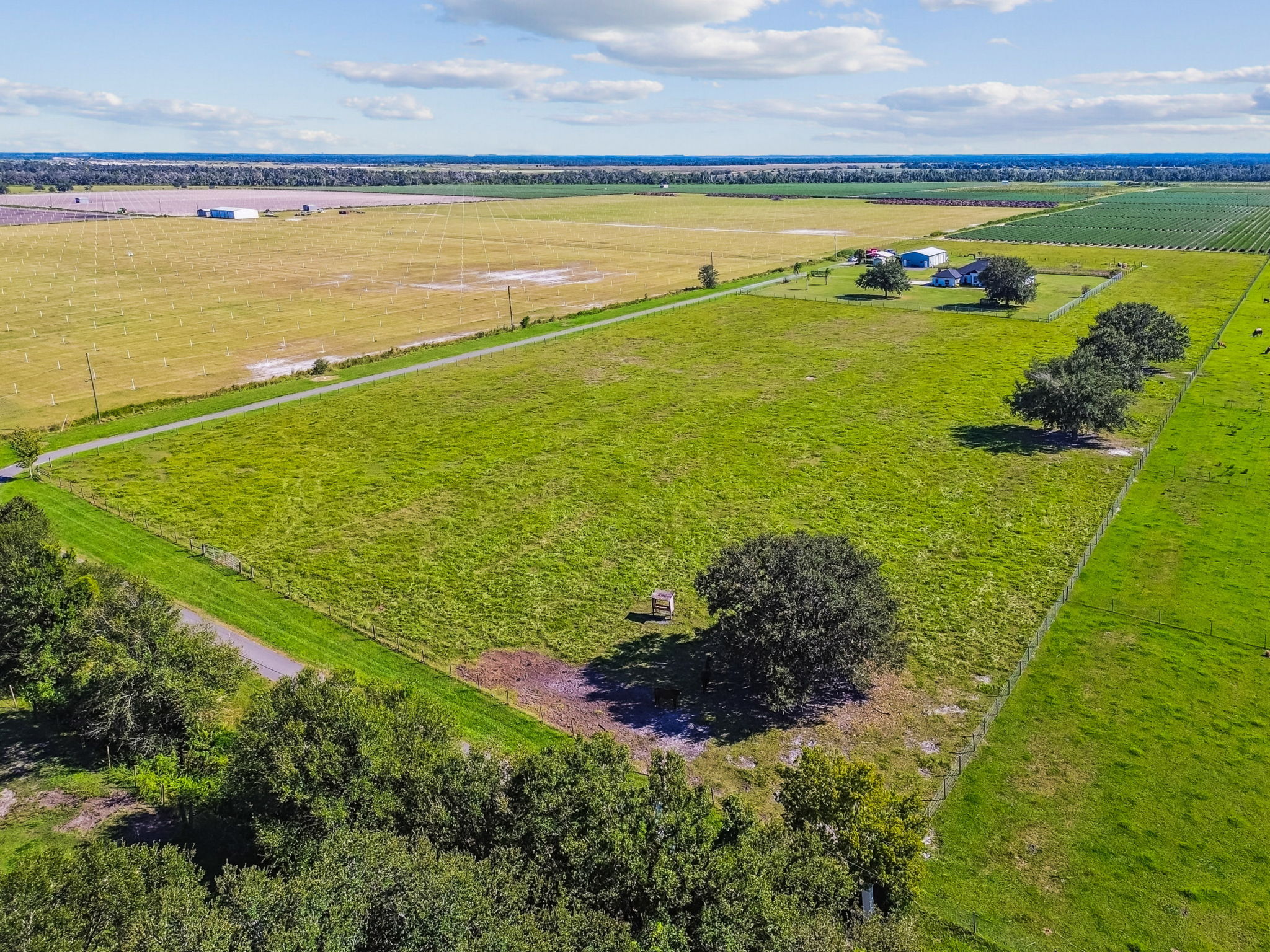 DJI_0088