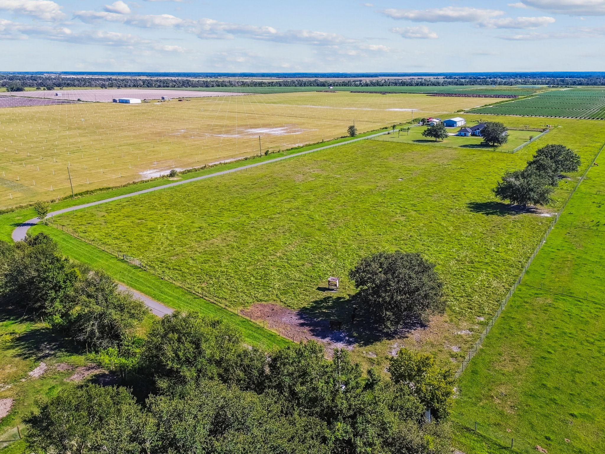 DJI_0091