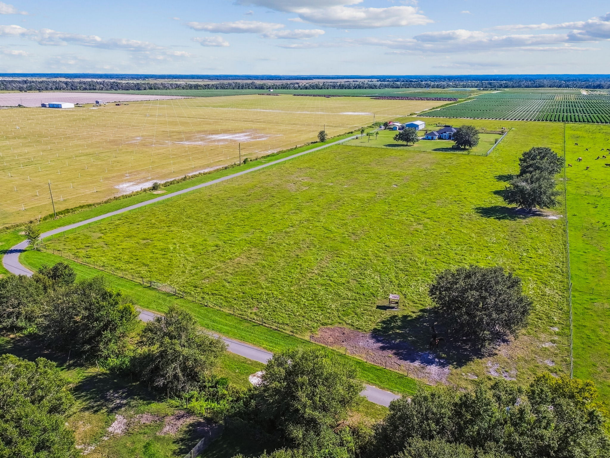DJI_0094