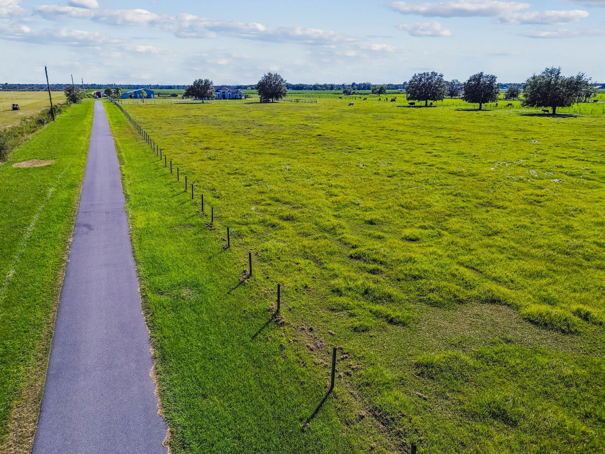 DJI_0196