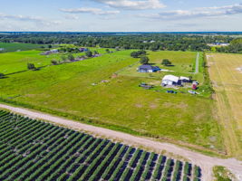 DJI_0169