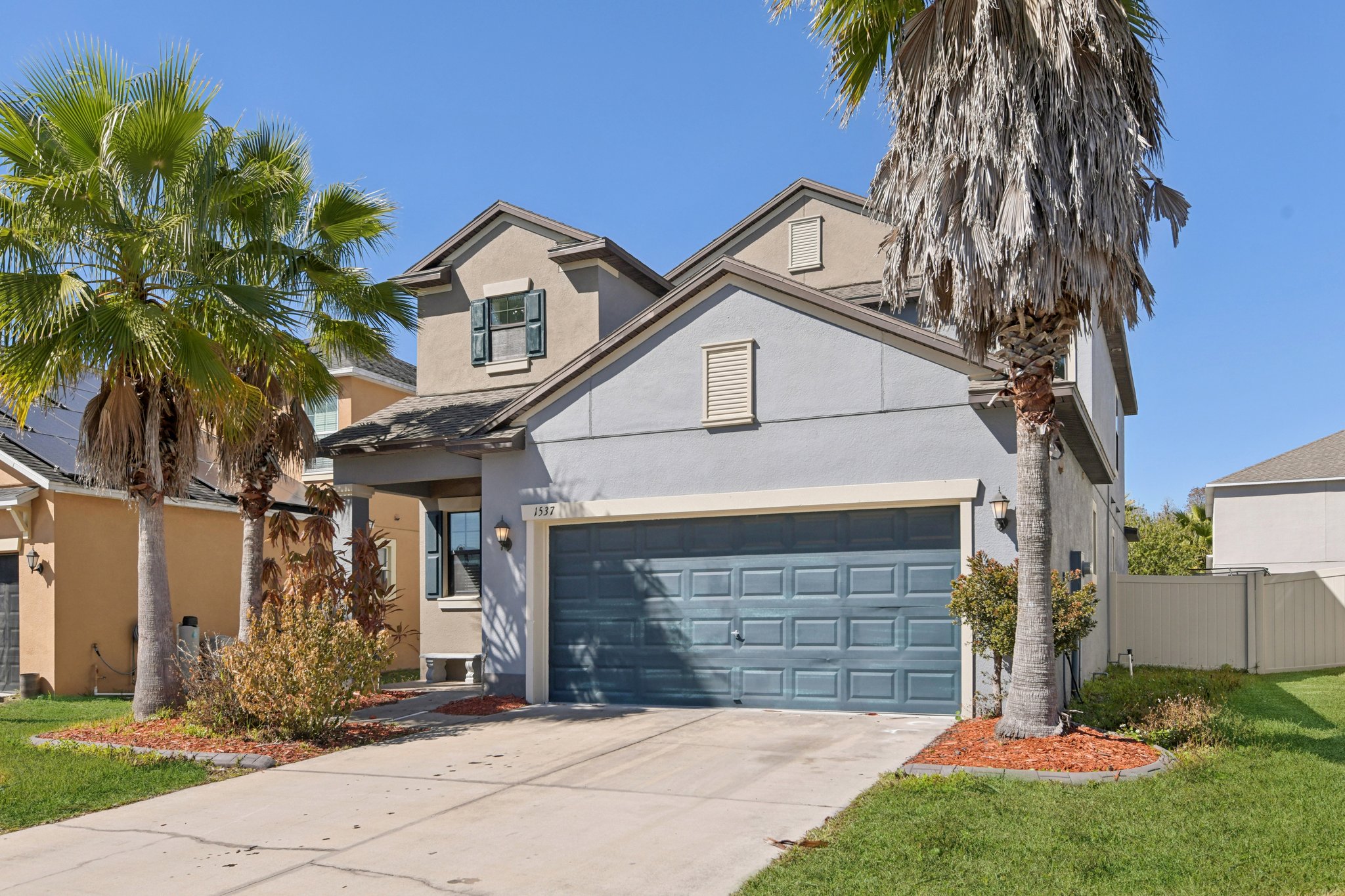 Tallulah Ter-L0702-002.jpg