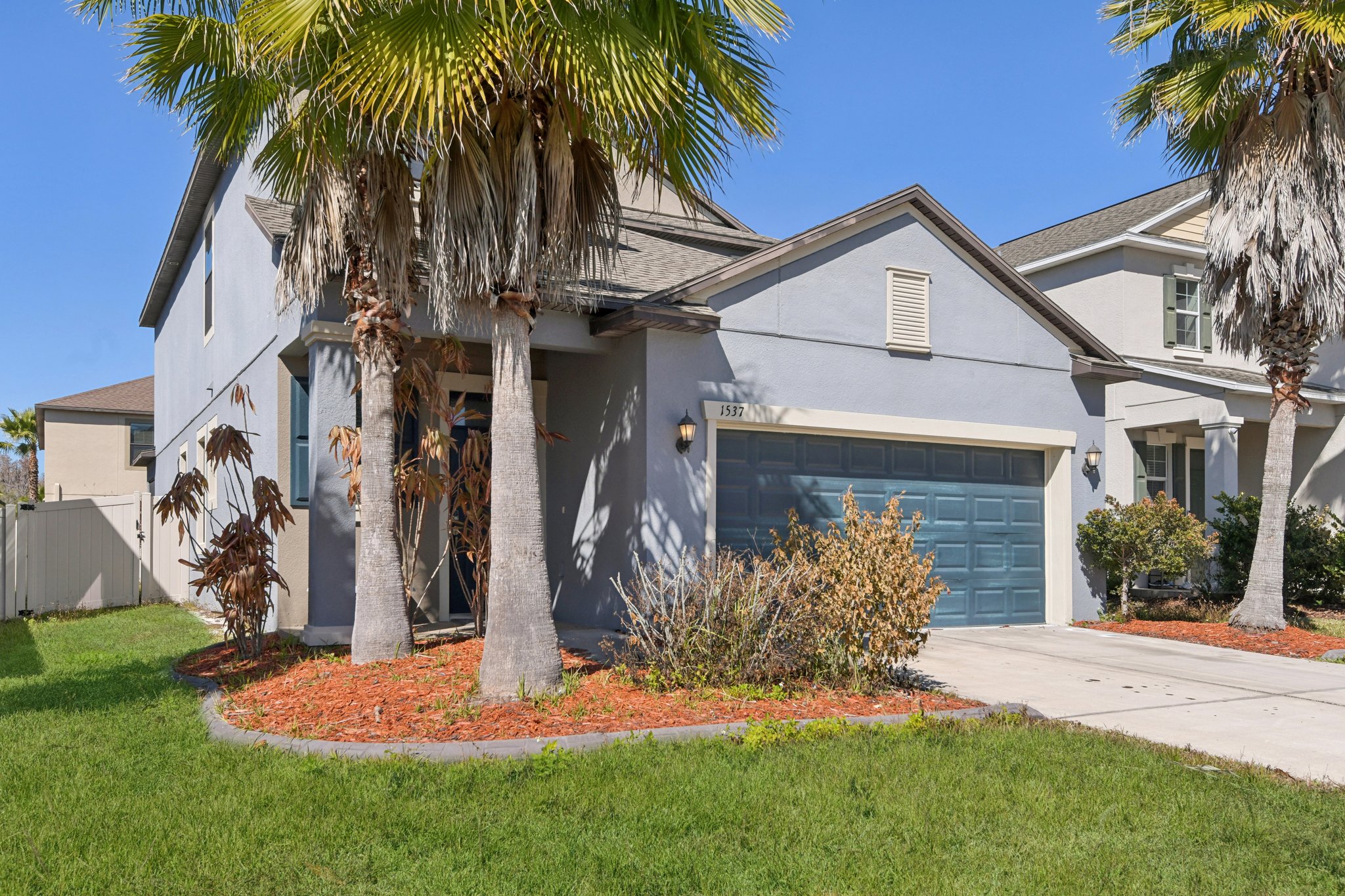 Tallulah Ter-L0702-003.jpg