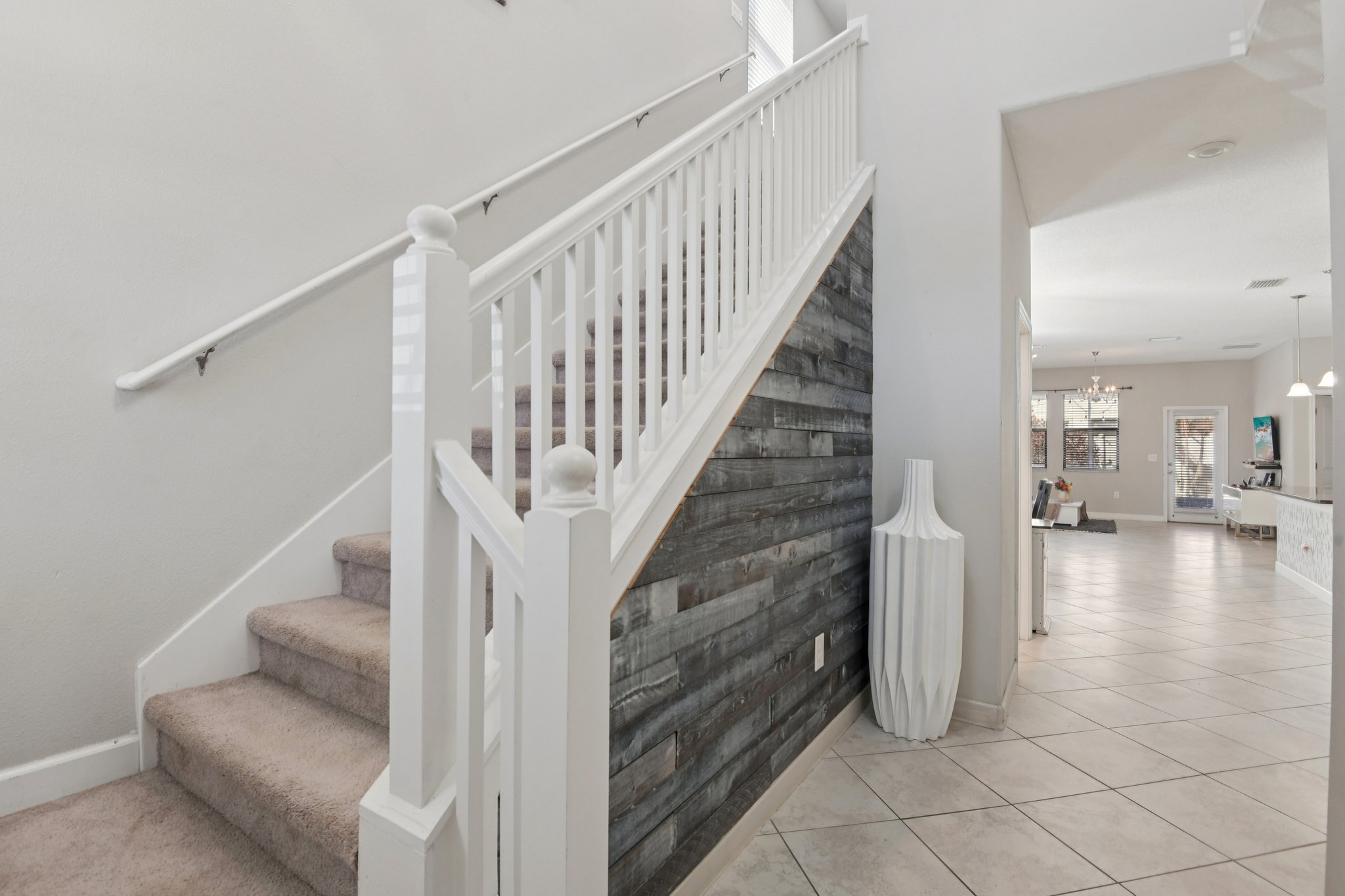 Tallulah Ter-L0702-005.jpg