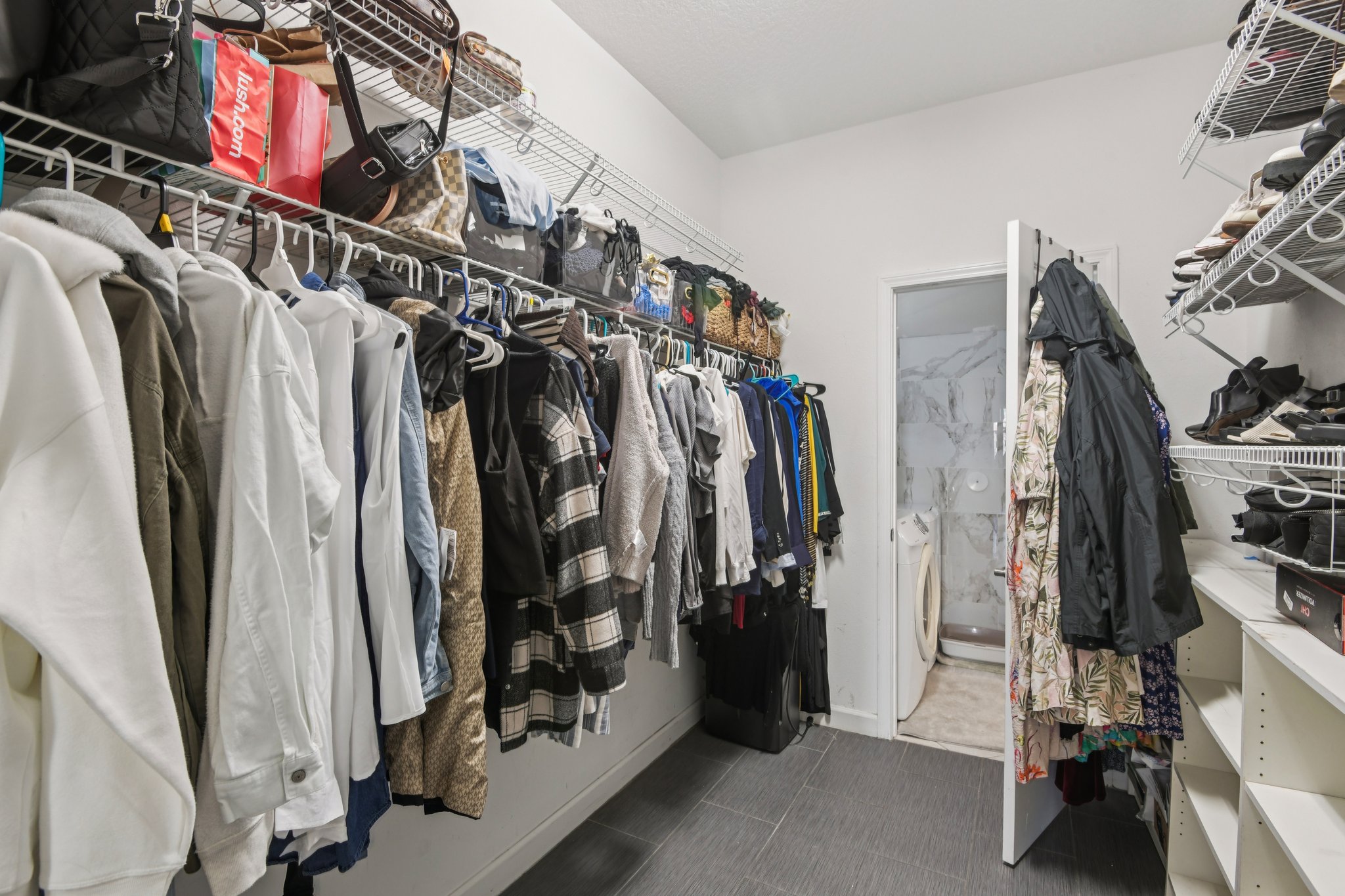 Tallulah Ter-L0702-022.jpg