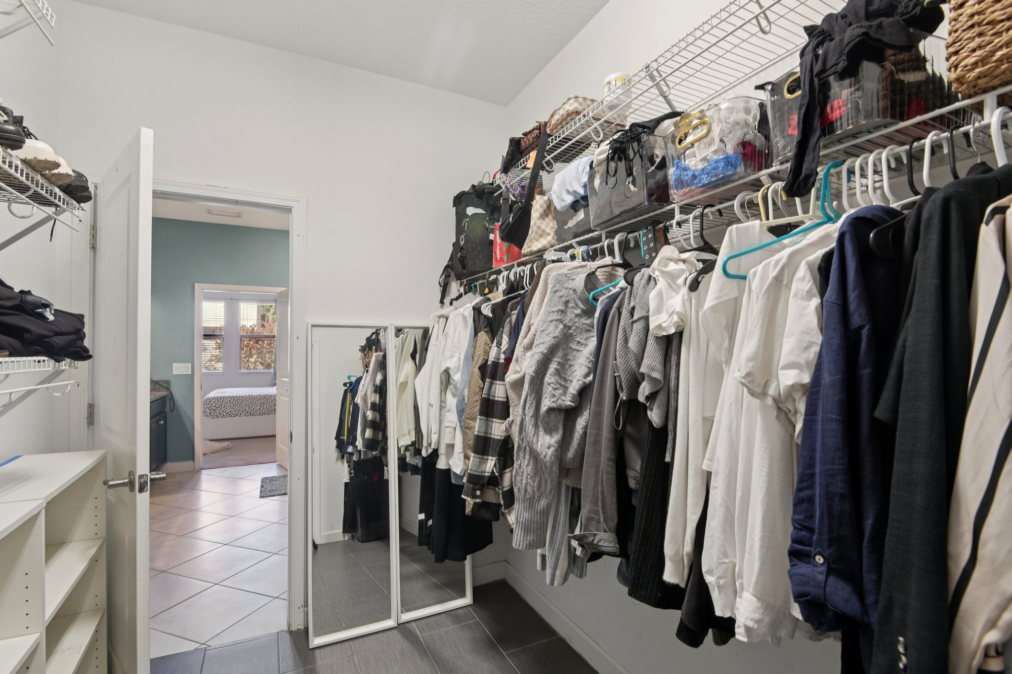 Tallulah Ter-L0702-023.jpg