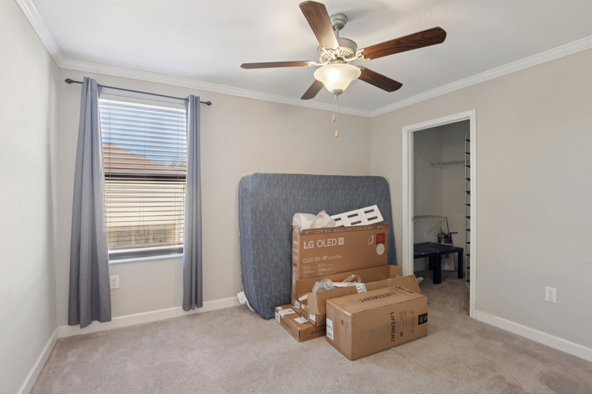 Tallulah Ter-L0702-031.jpg