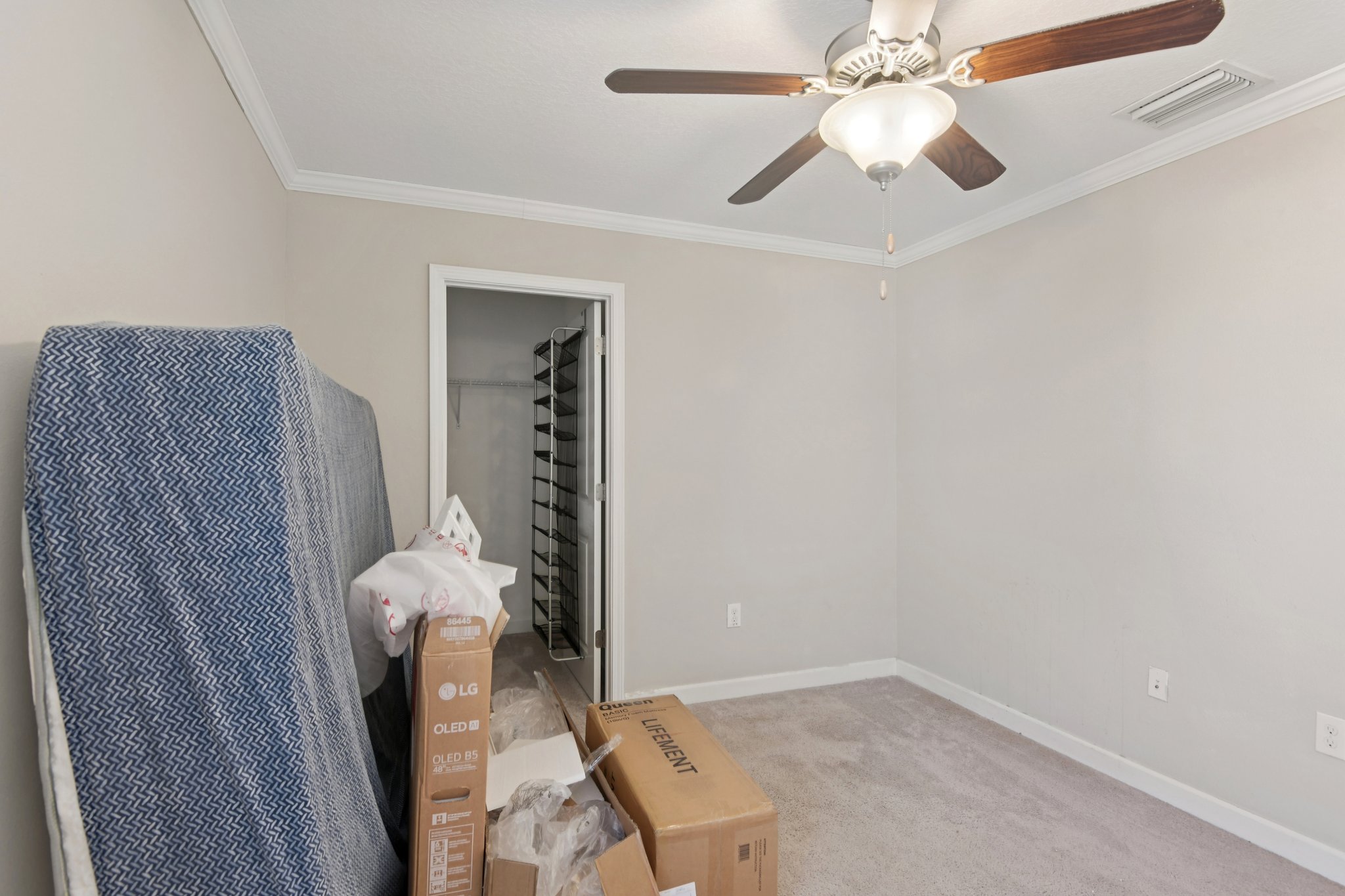 Tallulah Ter-L0702-032.jpg