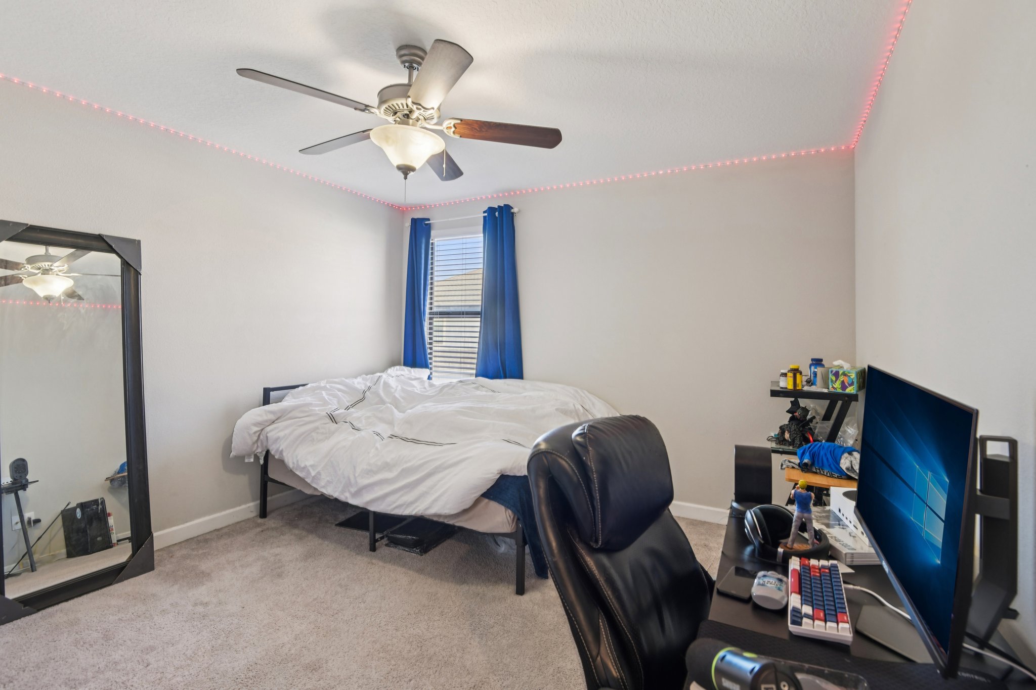 Tallulah Ter-L0702-033.jpg