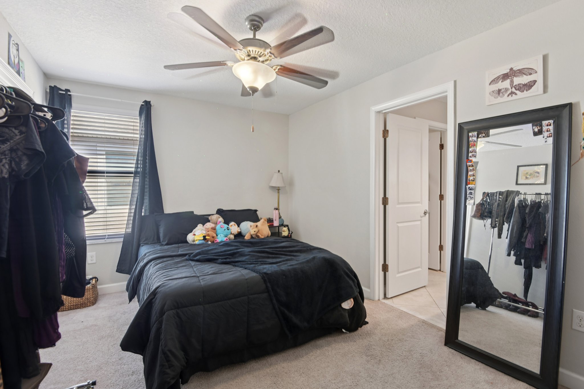 Tallulah Ter-L0702-035.jpg