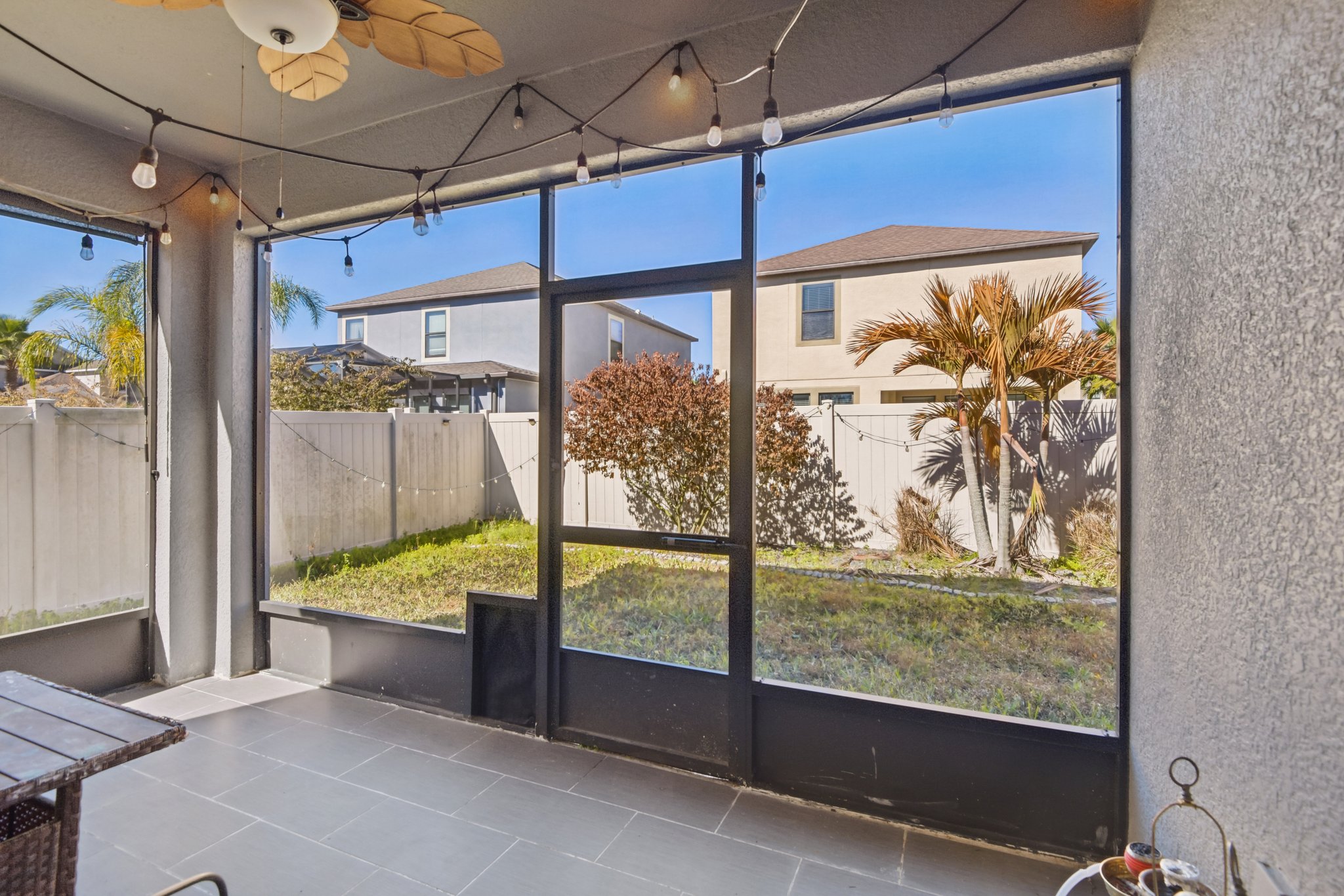 Tallulah Ter-L0702-041.jpg