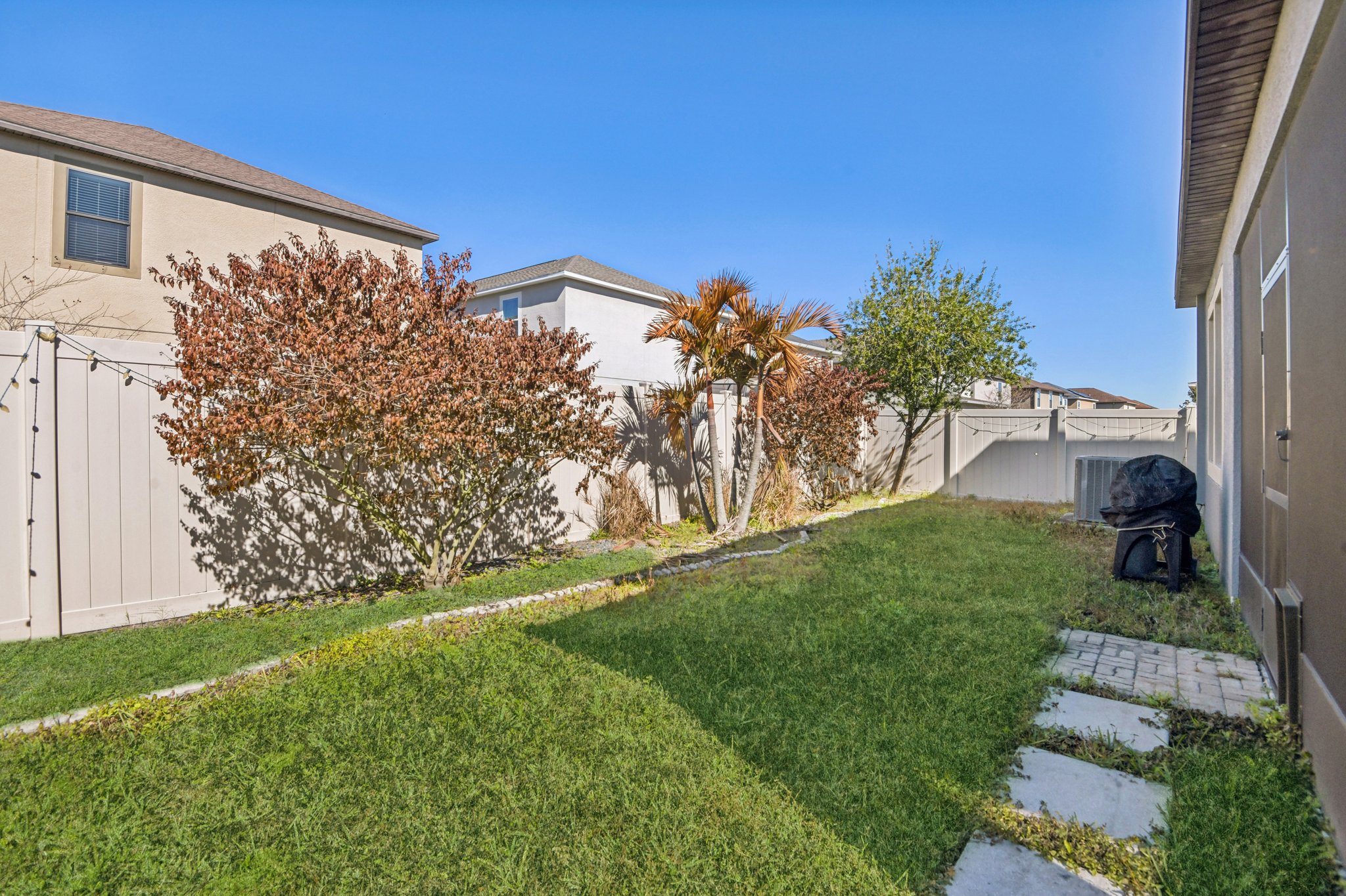 Tallulah Ter-L0702-043.jpg